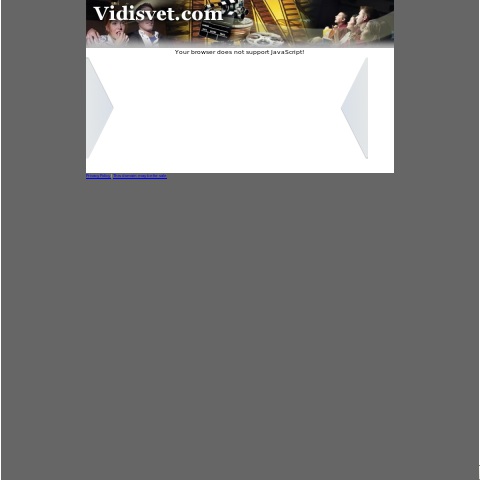 Vidi svet