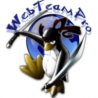WebTeam Pro